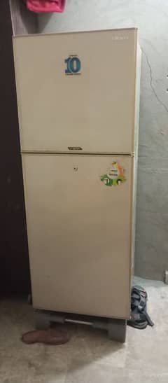 waves fridge
