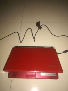 acer