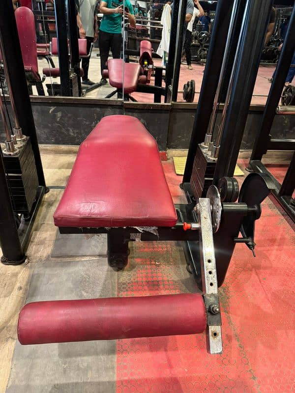 Hamstring Back Curl 0