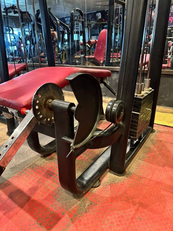 Hamstring Back Curl 3