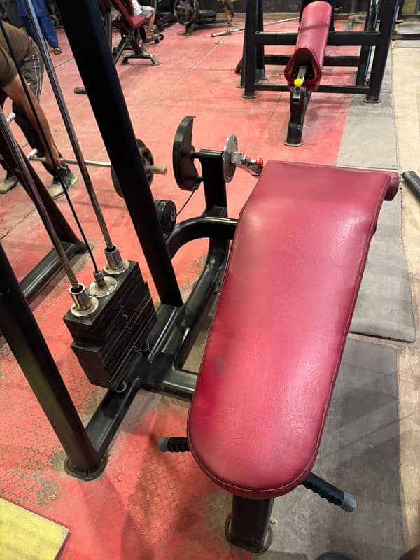 Hamstring Back Curl 5