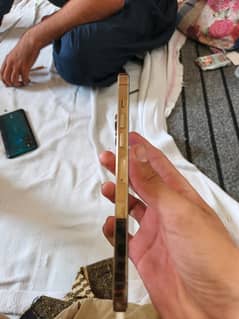 Iphone 13 Pro Max 256 Gb Golden Non  JV
