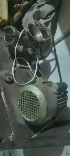 commercial qeema machine