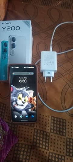 vivo