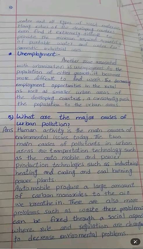 Assignment Writting 0