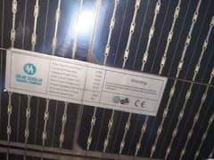 310w solar scholar  plate
