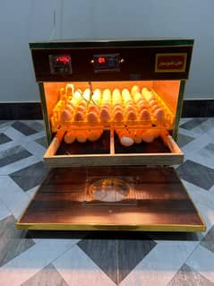 pure desi egg