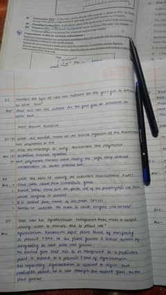 Content writing
