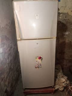 Haier company
