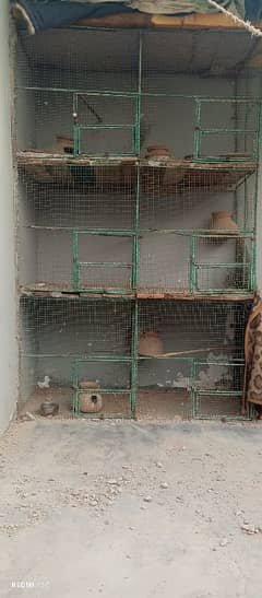 love bird cage six potions