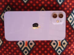i phone 12 for sale in best price