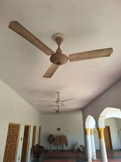 ceiling fan good condition copper winding 3 Fans