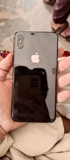 XS Max 256