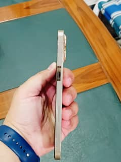 iPhone 12 pro max pta approved