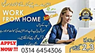 Typing job / Data Entry Job / Assignment Job / Online Job / Part Time