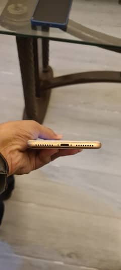 iphone 8 plus pta approved
