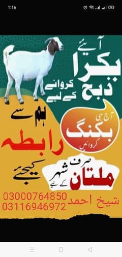 Bakra zibha karwana ka liya ham sa rabta kara