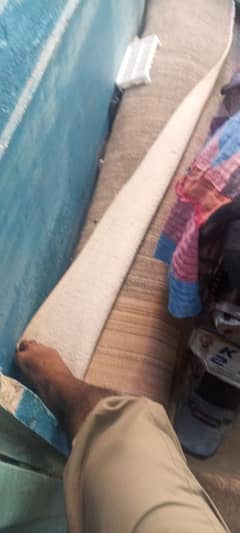 carpet