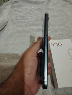 y16