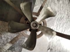 Super Asia 220 pure copper motor orginal