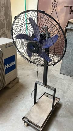 Fan