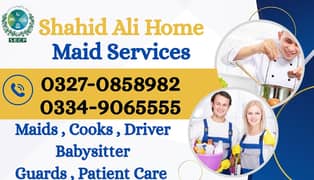 House maids , Maid, Baby Sitter, Chef , Couple , Driver , Patient care