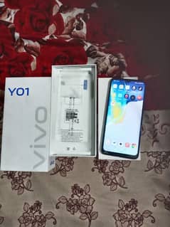 vivo