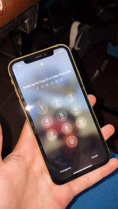 Iphone 11 pta approve