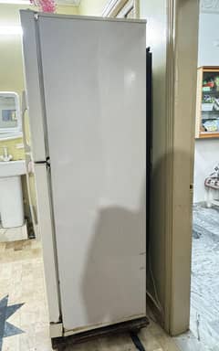 Pel