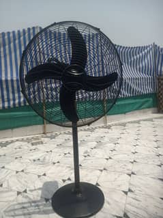 Pedestal