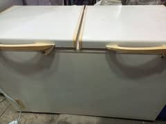 double door freezer