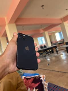 iPhone 13 best using mobile