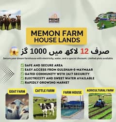 Farmhouse & Cattlefarm Land