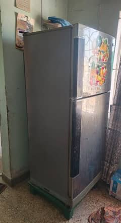 PEL