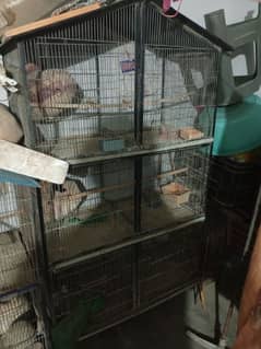 bird cage pinjra