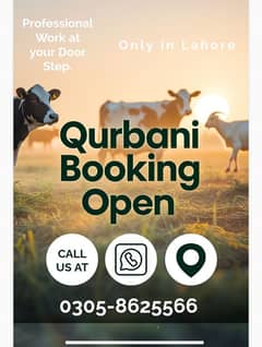 Qasai-kisab-Professional butcher-professional kasai-Butcher