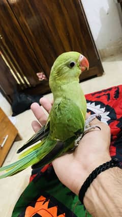 Male