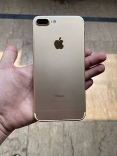 7 Plus PTA