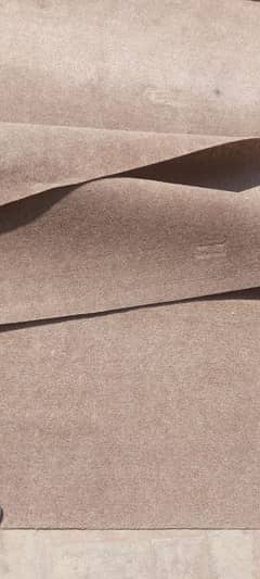 Carper with underlay foam