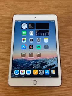 iPad mini 4 128GB 88% health