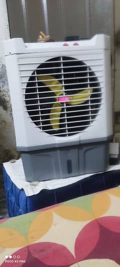 mini cooler 12v