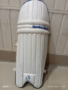 cricket