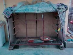 cage and birds