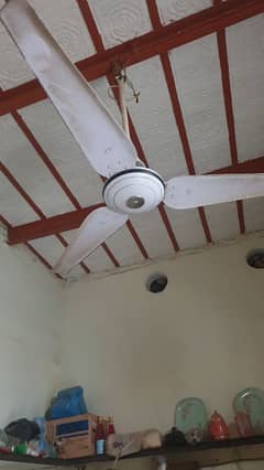 celling