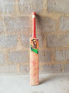 hardball cricket bat