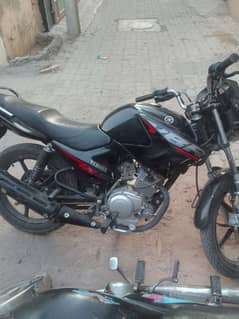 Yamaha ybr revs your heart