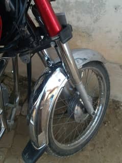 Honda 70 2019