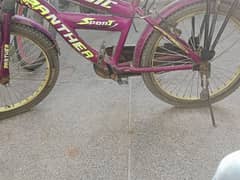 Cycle for sale with double seat
