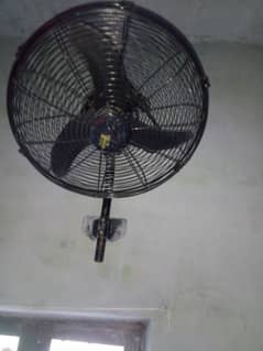 all