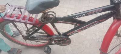 bicycle